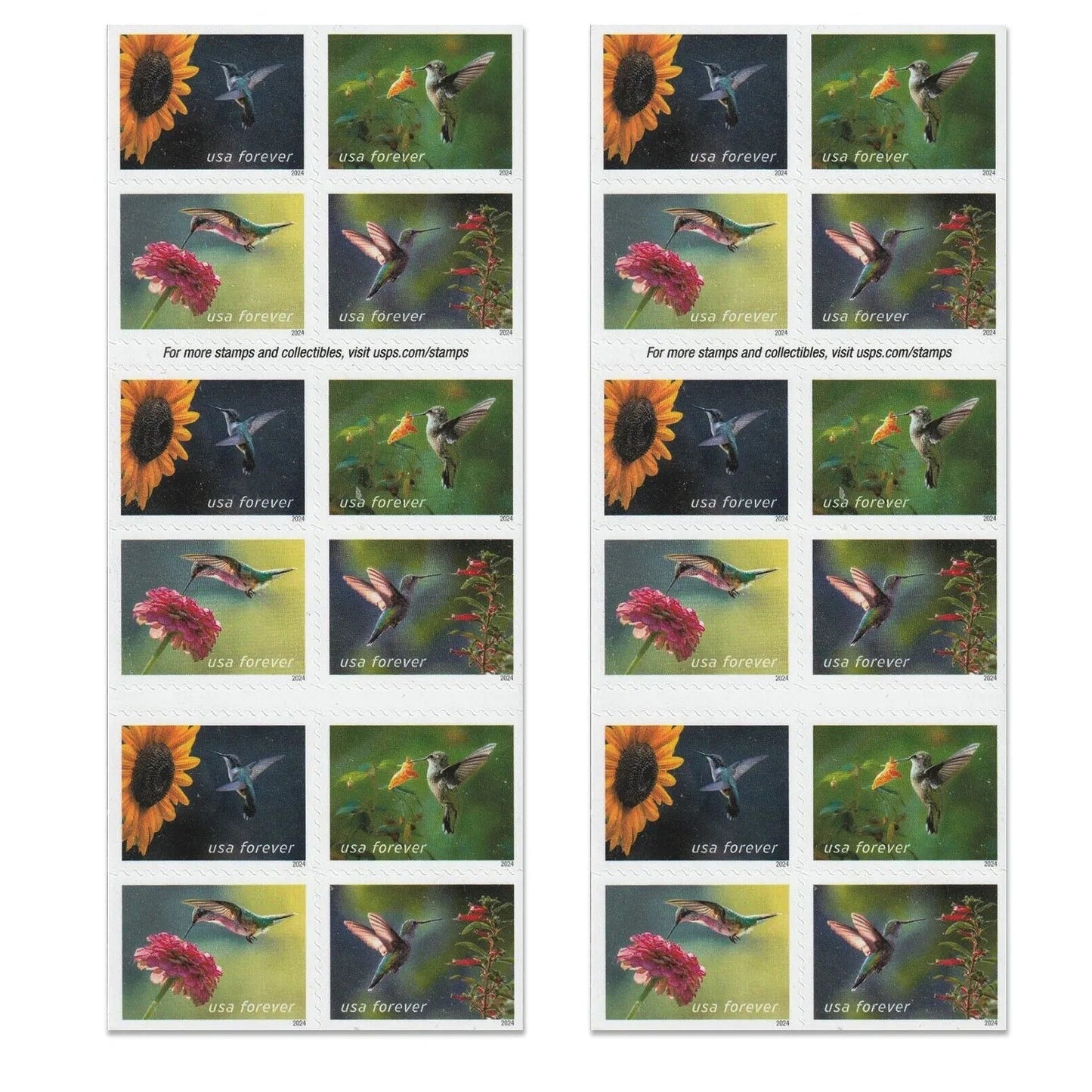 2024 Garden Delights  Forever First Class Postage Stamps