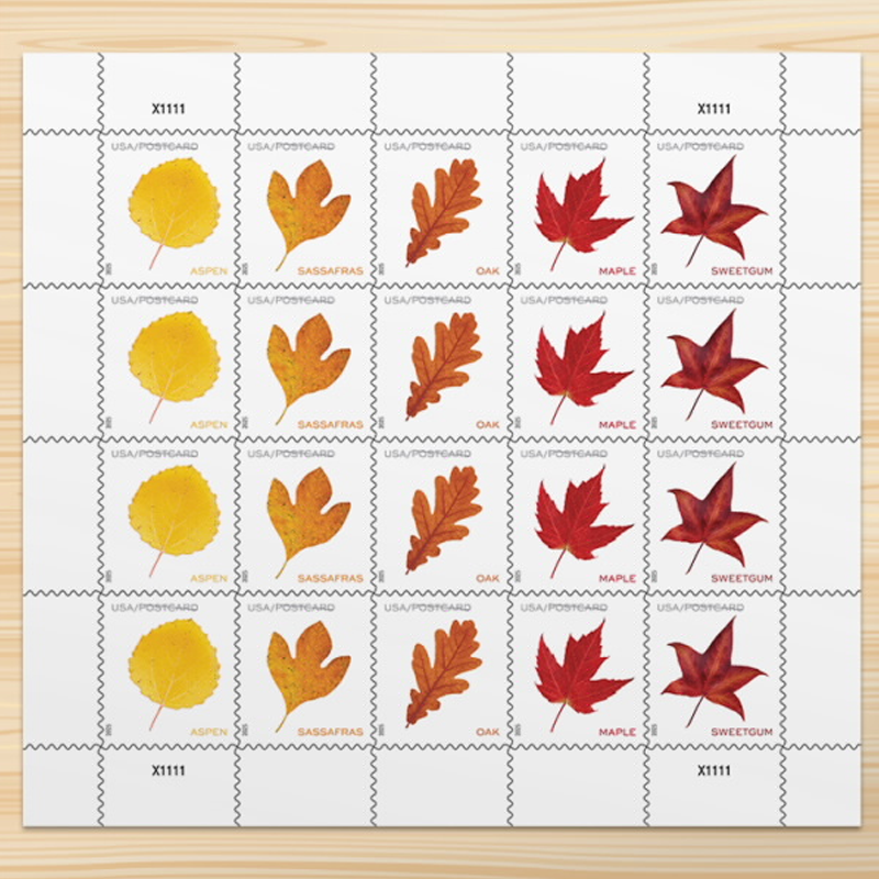 2025 Vibrant Leavea Postcard Forever First Class Postage Stamps (For Postcard Only)
