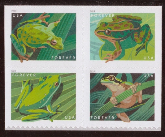 2019 Frogs Forever First Class Postage Stamps